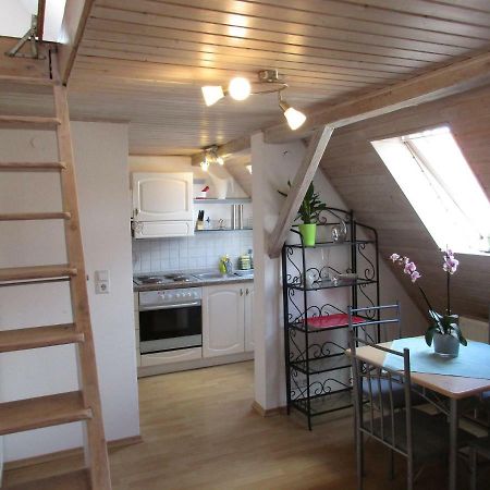 Ferienwohnung Regina 阿尔伯斯塔特 外观 照片