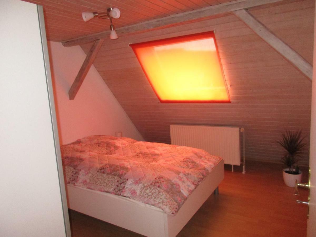 Ferienwohnung Regina 阿尔伯斯塔特 外观 照片