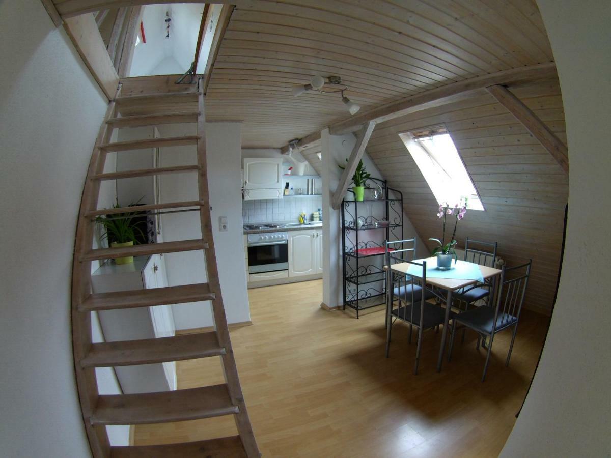 Ferienwohnung Regina 阿尔伯斯塔特 外观 照片